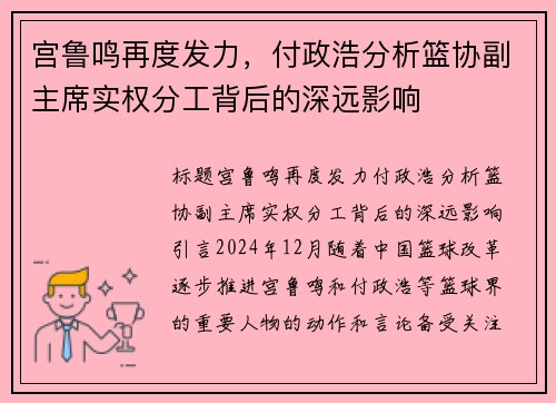 宫鲁鸣再度发力，付政浩分析篮协副主席实权分工背后的深远影响