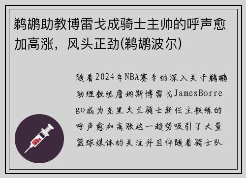 鹈鹕助教博雷戈成骑士主帅的呼声愈加高涨，风头正劲(鹈鹕波尔)