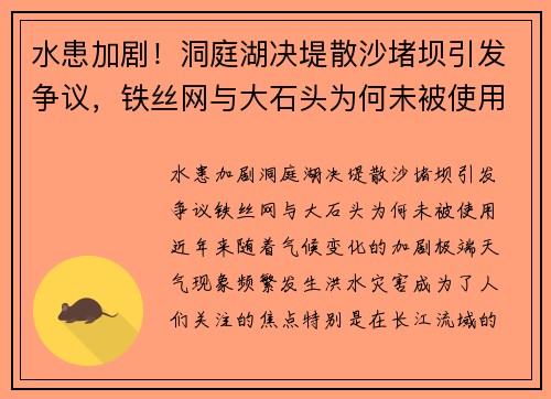 水患加剧！洞庭湖决堤散沙堵坝引发争议，铁丝网与大石头为何未被使用？